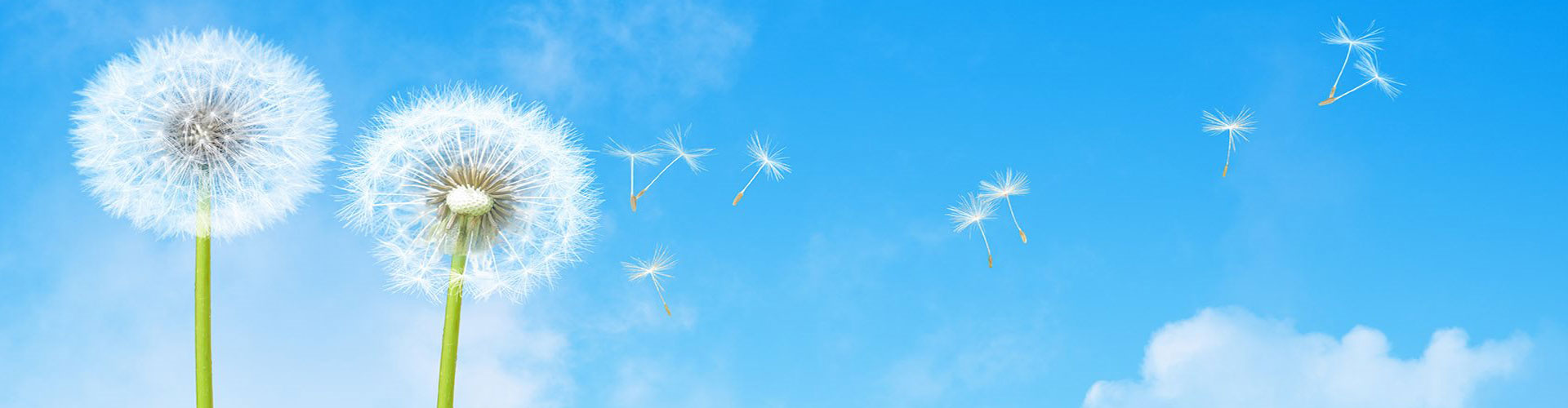 博肽医大检验检测（杭州）有限公司